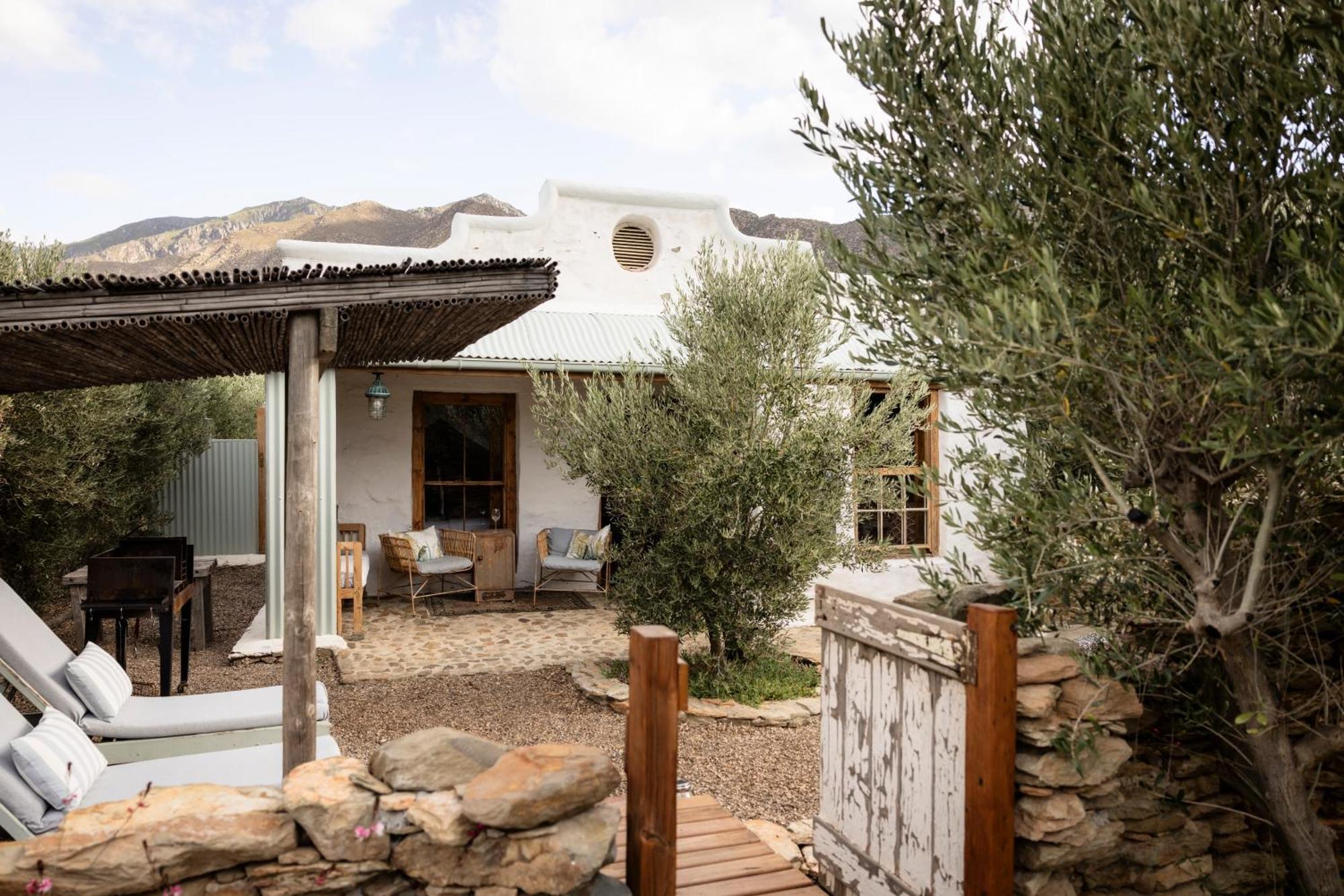 Olive Stone Farm Cottages モンタギュー エクステリア 写真