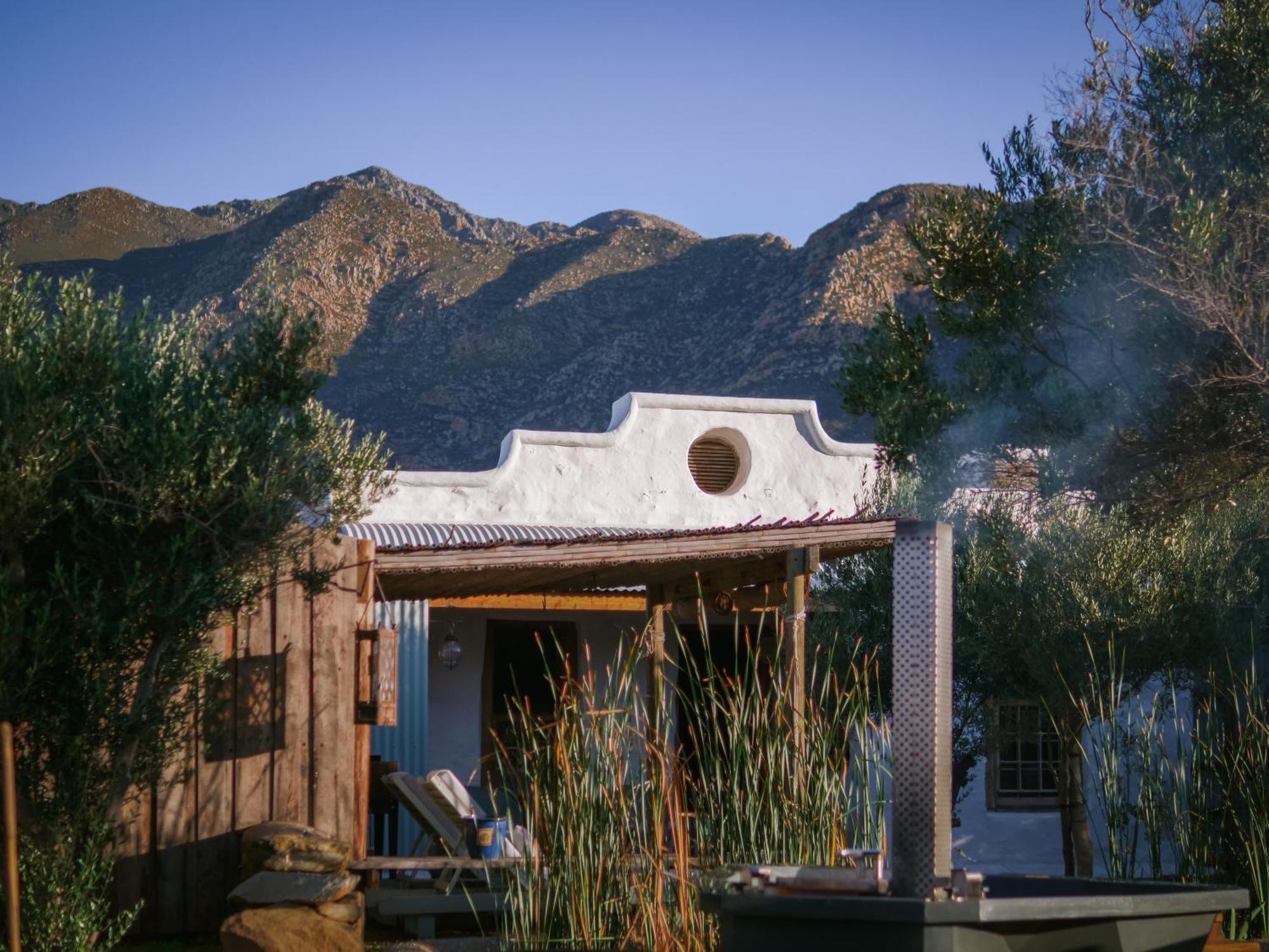 Olive Stone Farm Cottages モンタギュー エクステリア 写真